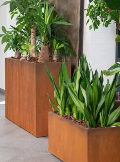 Stor plantekumme i rust med planteindsatse - L.114xH.82cm