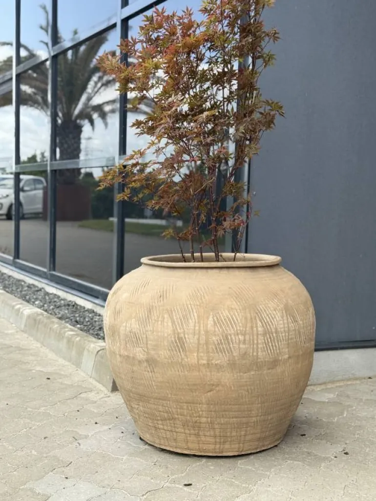 Stor Terracotta vintage krukke Ø.75cm