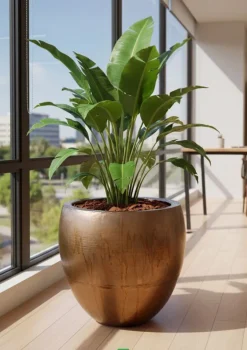 Stor Vega metal krukke GOLD OXYD - 4 størrelser