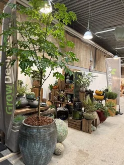 Store glaserede krukker i keramik - misty blue - op til Ø.81xH.81cm