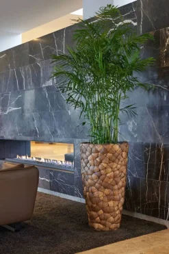 Store Høje indendørs Krukker med Coconut - 3str