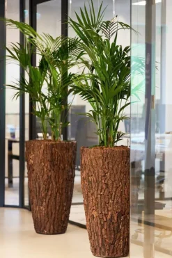 Store høje indendørs krukker med bark - 3 str