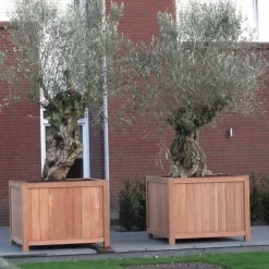 Store krukker i træ / hardwood med ben