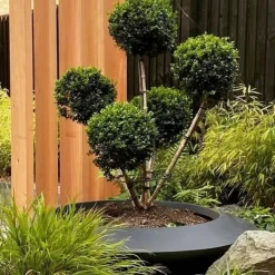 Store lave UFO krukker i glasfiber / polyester - Ø.120cm + Ø.200cm