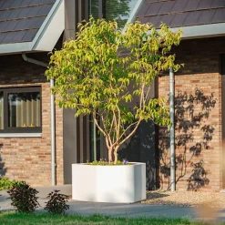 Store organic SHAPE plantekasser i glasfiber - Udendørs + Indendørs