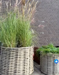 Store rattan kurve / pilekrukker Ø.40 + Ø.60 + Ø.80