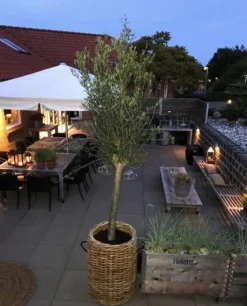 Store runde flettede rattan kurve / krukker - M/U Hjul