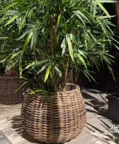 Store runde pilekurve - Sæt 3stk