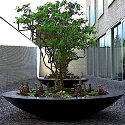 Store runde plantefade i glasfiber / polyester - Op til Ø.200cm