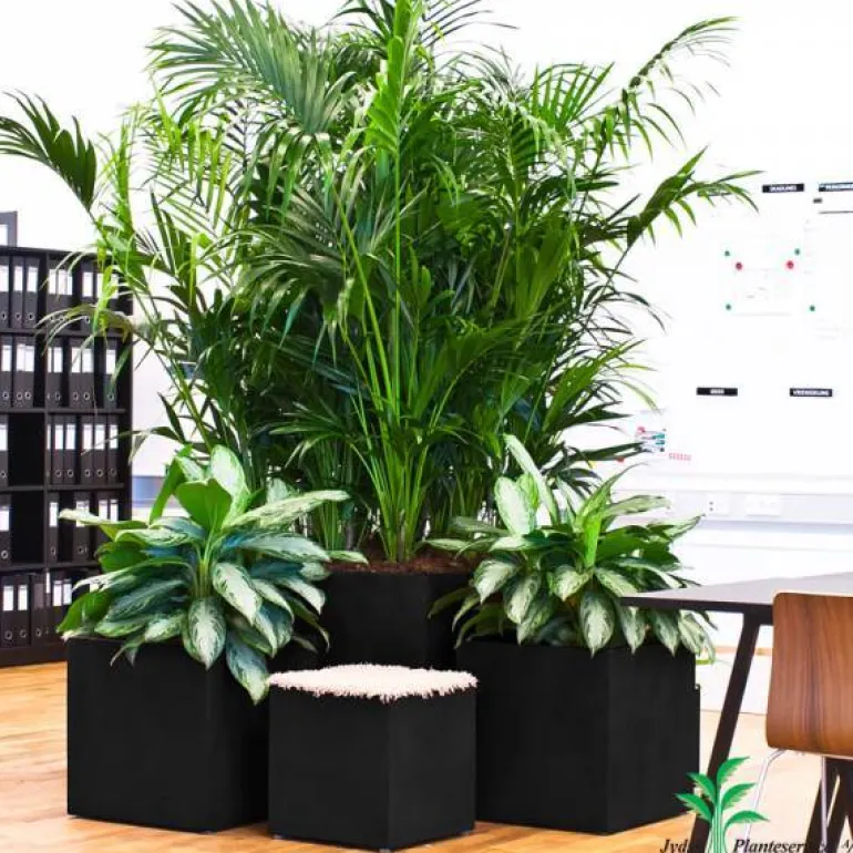 Store Sorte + Grå krukker - Firkantede plantekummer - Udendørs