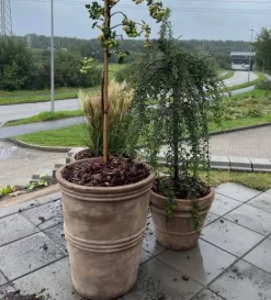 Terracotta krukker i sæt - 3stk i lys choko