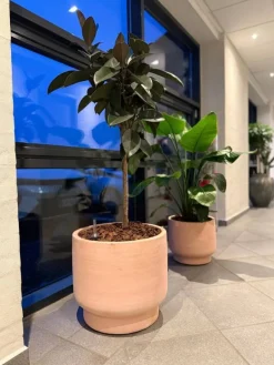 Terracotta Krukker på fod / sokkel - Ø.50cm + Ø.60cm