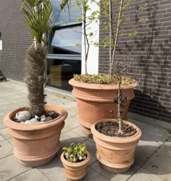 Toscana krukke i Terracotta - 4 str op til Ø.110cm