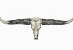 Widehorn trofæ i polystone - 84cm