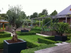 120x120cm kvadratiske Krukker i glasfiber / polyester